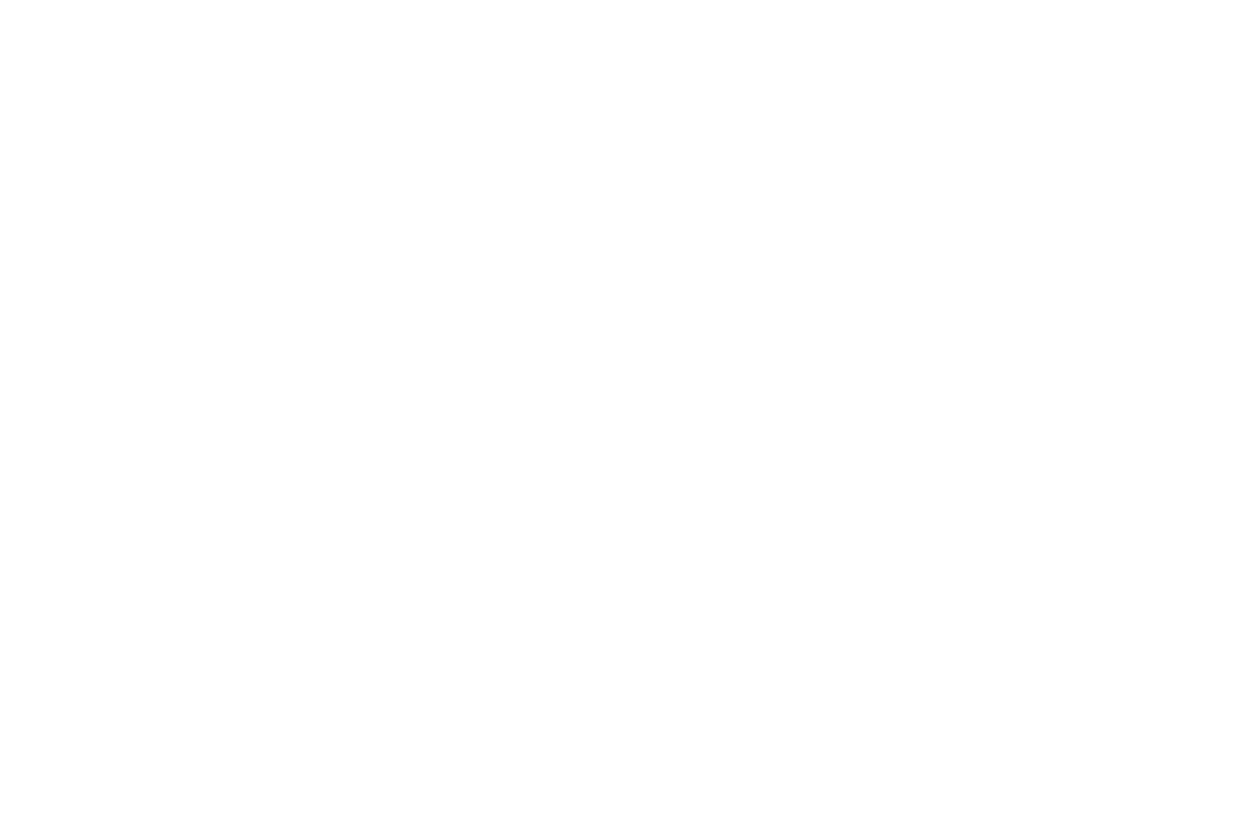 RUYUI Studios